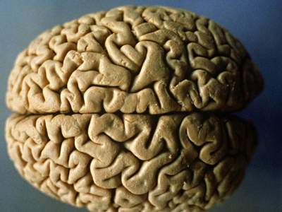 Ученые выяснили, как стареет мозг