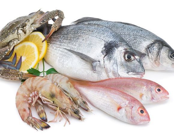 Интернет магазин рыбы и морепродуктов: свежесть и качество